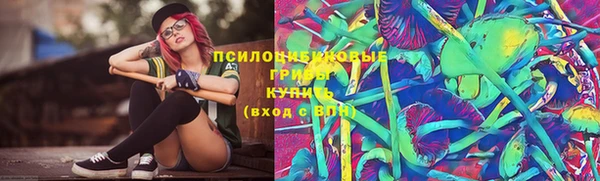 герыч Инта