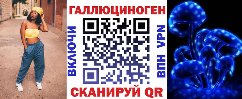 Купить  Городец  Галлюциногенные грибы Psilocybine cubensis 